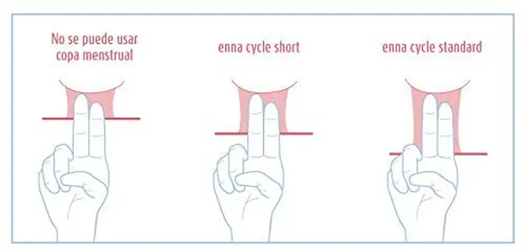 Copa menstrual: cómo ponerla y cómo esterilizarla